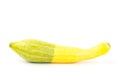 Fresh crookneck squash Royalty Free Stock Photo