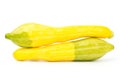 Fresh crookneck squash Royalty Free Stock Photo