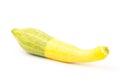 Fresh crookneck squash Royalty Free Stock Photo