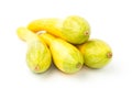 Fresh crookneck squash Royalty Free Stock Photo