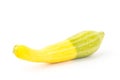 Fresh crookneck squash Royalty Free Stock Photo
