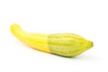 Fresh crookneck squash Royalty Free Stock Photo
