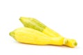 Fresh crookneck squash Royalty Free Stock Photo