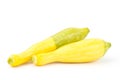 Fresh crookneck squash Royalty Free Stock Photo