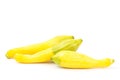 Fresh crookneck squash Royalty Free Stock Photo