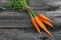 Fresh crop of carrots tie beam Royalty Free Stock Photo