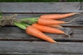 Fresh crop of carrots tie beam Royalty Free Stock Photo