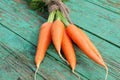 Fresh crop of carrots tie beam Royalty Free Stock Photo