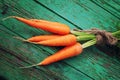 Fresh crop of carrots tie beam Royalty Free Stock Photo