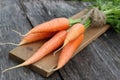 Fresh crop of carrots tie beam Royalty Free Stock Photo