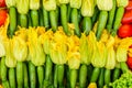 Fresh cropped green Zucchini Royalty Free Stock Photo