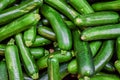 Fresh cropped green Zucchini Royalty Free Stock Photo