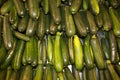 Fresh cropped green Zucchini, Offer in the vegetable market, Royalty Free Stock Photo