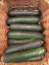 Fresh cropped green Zucchini Offer in the vegetable market Summer squash Royalty Free Stock Photo