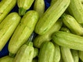 Fresh cropped green Zucchini , Offer in the vegetable market. Summer squash Royalty Free Stock Photo