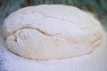 Fresh crude dough mixed and kneaded from white flour during baking