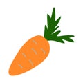 Fresh crunchy carrot with leaves, doodle style vector