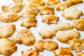Fresh crunchy homemade biscuits Royalty Free Stock Photo