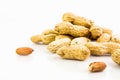 Fresh Crunchy Peanuts With Shells Royalty Free Stock Photo