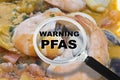 Fresh crustaceans HACCP (Hazard Analysis and Critical Control Points) and searching for the dangerous PFAS