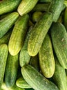 Fresh cucumbar natural Royalty Free Stock Photo
