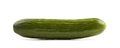 Fresh cucumber Royalty Free Stock Photo