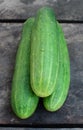 Fresh cucumber