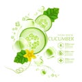 Fresh Cucumber cucumber slice, isolated on a white background
