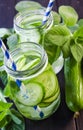 Fresh cucumber drink Royalty Free Stock Photo