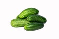 Fresh cucumber from garden bed isolated Royalty Free Stock Photo