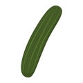 Delicious organic cucumber isolated icon