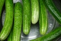 Fresh cucumber