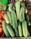 Fresh cucumber