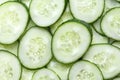 fresh cucumber slices, food background Royalty Free Stock Photo