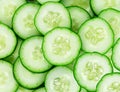 Fresh cucumber slices