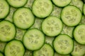 Fresh cucumber slices background. Healthy organic food Royalty Free Stock Photo