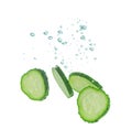 Fresh cucumber slices in water on white background Royalty Free Stock Photo