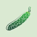 Fresh cucumber vegetable isolated icon