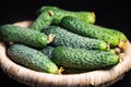 Fresh cucumbers in a basket