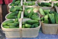 Fresh cucumbers