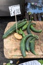 Fresh cucumbers (cetriolo in Italian) sold at an Italian market