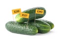 Fresh cucumbers with E numbers on background. Harmful food additives Royalty Free Stock Photo