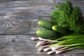 Fresh cucumbers, green onions and dill for salad on a wooden ssurface Royalty Free Stock Photo