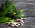 Fresh cucumbers, green onions and dill for salad on a wooden surface