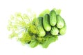 Fresh cucumbers, horseradish leaves and dill, Ingredients for pickle, summer harvest, isolated on white background