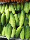 Fresh Cucumbers at The Market Royalty Free Stock Photo