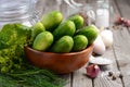 Fresh cucumbers ready for canning with dill, garlic and spices Royalty Free Stock Photo