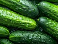 Fresh cucumbers with water drops. Close up. Whole background. Generative AI