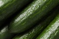 Fresh cucumbers with water drops texture background Royalty Free Stock Photo