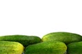 Fresh cucumbers on white background